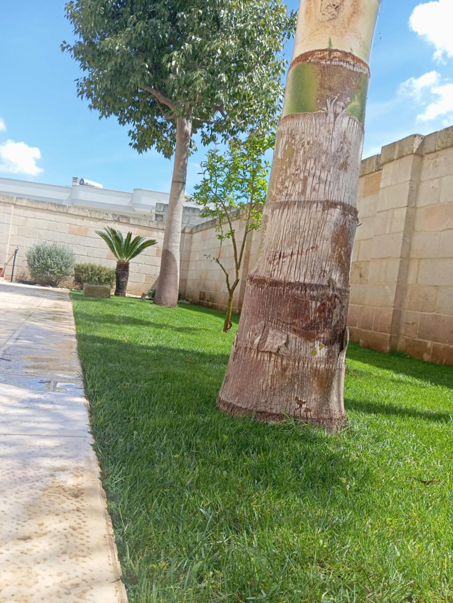 Villa Serena Bagnolo del Salento Ngoại thất bức ảnh